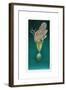 Balancing Bird-Wayne Anderson-Framed Giclee Print