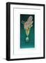 Balancing Bird-Wayne Anderson-Framed Giclee Print