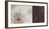 Balancing Blossoms II-Arleigh Wood-Framed Giclee Print