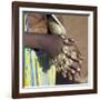 Balangida Lelu, Northern Tanzania;The Finery of a Datoga Woman;-Nigel Pavitt-Framed Photographic Print