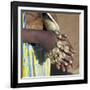 Balangida Lelu, Northern Tanzania;The Finery of a Datoga Woman;-Nigel Pavitt-Framed Photographic Print