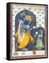 Balarama with Consort-null-Framed Stretched Canvas