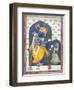 Balarama with Consort-null-Framed Art Print