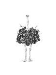Floral Ostrich-Balazs Solti-Art Print