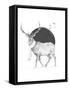 Framed Canvas