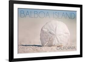 Balboa Island, California - Sand Dollar and Beach-Lantern Press-Framed Art Print