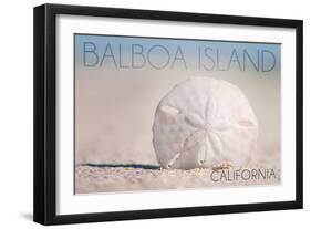 Balboa Island, California - Sand Dollar and Beach-Lantern Press-Framed Art Print