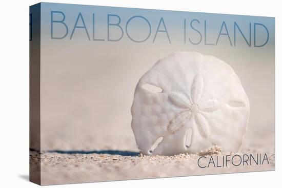 Balboa Island, California - Sand Dollar and Beach-Lantern Press-Stretched Canvas