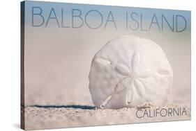 Balboa Island, California - Sand Dollar and Beach-Lantern Press-Stretched Canvas