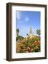 Balboa Park, San Diego, California, USA, Summer-Stuart Westmorland-Framed Photographic Print