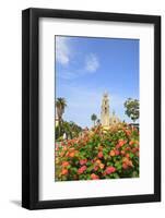 Balboa Park, San Diego, California, USA, Summer-Stuart Westmorland-Framed Photographic Print