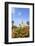 Balboa Park, San Diego, California, USA, Summer-Stuart Westmorland-Framed Photographic Print