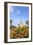 Balboa Park, San Diego, California, USA, Summer-Stuart Westmorland-Framed Photographic Print