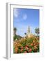 Balboa Park, San Diego, California, USA, Summer-Stuart Westmorland-Framed Photographic Print