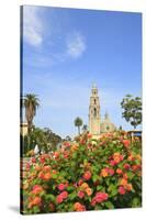 Balboa Park, San Diego, California, USA, Summer-Stuart Westmorland-Stretched Canvas