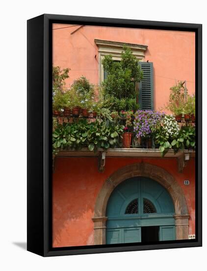 Balcony Garden in Historic Town Center, Verona, Italy-Lisa S. Engelbrecht-Framed Stretched Canvas