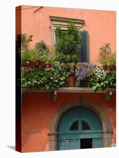 Balcony Garden in Historic Town Center, Verona, Italy-Lisa S. Engelbrecht-Stretched Canvas