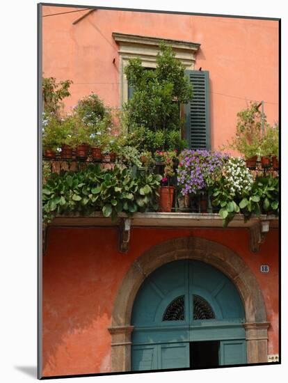 Balcony Garden in Historic Town Center, Verona, Italy-Lisa S. Engelbrecht-Mounted Photographic Print