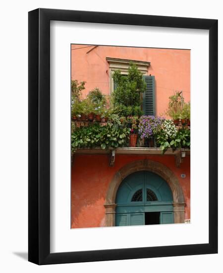 Balcony Garden in Historic Town Center, Verona, Italy-Lisa S. Engelbrecht-Framed Premium Photographic Print