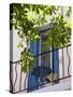 Balcony in Sault, Provence, France-Nadia Isakova-Stretched Canvas