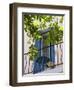 Balcony in Sault, Provence, France-Nadia Isakova-Framed Premium Photographic Print