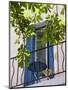 Balcony in Sault, Provence, France-Nadia Isakova-Mounted Premium Photographic Print