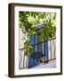 Balcony in Sault, Provence, France-Nadia Isakova-Framed Photographic Print