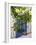 Balcony in Sault, Provence, France-Nadia Isakova-Framed Photographic Print