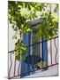 Balcony in Sault, Provence, France-Nadia Isakova-Mounted Photographic Print