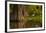 Bald Cypress and Great Egret in Swamp, Lake Martin, Louisiana, USA-null-Framed Photographic Print