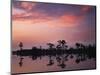 Bald Cypress at Dawn, Banks Lake National Wildlife Refuge, Georgia, USA-Charles Gurche-Mounted Photographic Print