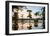 Bald Cypress at Sunset, Atchafalaya Basin, Louisiana, USA-Alison Jones-Framed Photographic Print