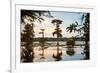 Bald Cypress at Sunset, Atchafalaya Basin, Louisiana, USA-Alison Jones-Framed Photographic Print