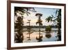 Bald Cypress at Sunset, Atchafalaya Basin, Louisiana, USA-Alison Jones-Framed Photographic Print