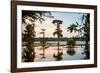 Bald Cypress at Sunset, Atchafalaya Basin, Louisiana, USA-Alison Jones-Framed Photographic Print