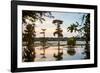 Bald Cypress at Sunset, Atchafalaya Basin, Louisiana, USA-Alison Jones-Framed Photographic Print