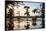 Bald Cypress at Sunset, Atchafalaya Basin, Louisiana, USA-Alison Jones-Framed Stretched Canvas