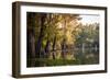 Bald Cypress in Water, Pierce Lake, Atchafalaya Basin, Louisiana, USA-Alison Jones-Framed Photographic Print