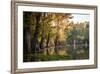 Bald Cypress in Water, Pierce Lake, Atchafalaya Basin, Louisiana, USA-Alison Jones-Framed Photographic Print