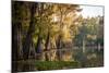 Bald Cypress in Water, Pierce Lake, Atchafalaya Basin, Louisiana, USA-Alison Jones-Mounted Photographic Print