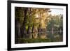 Bald Cypress in Water, Pierce Lake, Atchafalaya Basin, Louisiana, USA-Alison Jones-Framed Photographic Print