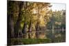 Bald Cypress in Water, Pierce Lake, Atchafalaya Basin, Louisiana, USA-Alison Jones-Mounted Photographic Print