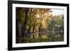 Bald Cypress in Water, Pierce Lake, Atchafalaya Basin, Louisiana, USA-Alison Jones-Framed Photographic Print