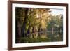 Bald Cypress in Water, Pierce Lake, Atchafalaya Basin, Louisiana, USA-Alison Jones-Framed Photographic Print