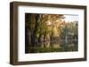 Bald Cypress in Water, Pierce Lake, Atchafalaya Basin, Louisiana, USA-Alison Jones-Framed Photographic Print