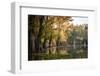 Bald Cypress in Water, Pierce Lake, Atchafalaya Basin, Louisiana, USA-Alison Jones-Framed Photographic Print