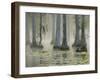 Bald Cypress Swamp in Fog, Cypress Gardens, Moncks Corner, South Carolina, USA-Corey Hilz-Framed Photographic Print