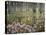 Bald Cypress Swamp in Fog, Cypress Gardens, Moncks Corner, South Carolina, USA-Corey Hilz-Stretched Canvas