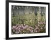 Bald Cypress Swamp in Fog, Cypress Gardens, Moncks Corner, South Carolina, USA-Corey Hilz-Framed Photographic Print