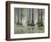 Bald Cypress Swamp in Fog, Cypress Gardens, Moncks Corner, South Carolina, USA-Corey Hilz-Framed Photographic Print